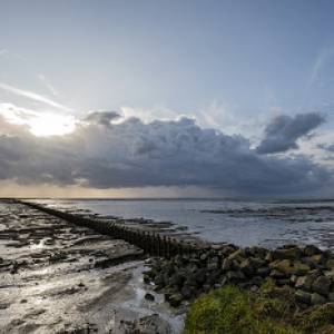 Holwerd aan Zee: keuze voor 'natuurvariant'