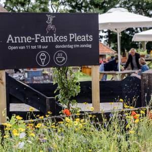 21 augustus Simmer Fair op Anne-Famkes Pleats