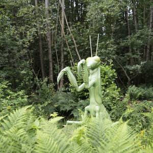 Reuze insecten in Park Vijversburg