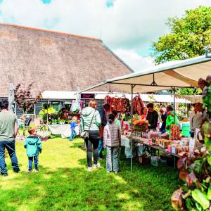Van tuingesprek tot fair: zomer op Anne-Famkes Pleats