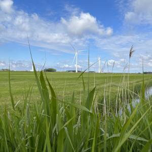 Wetterstof yn opkomst as enerzjyboarne