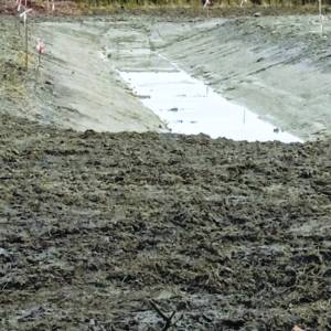 Verrassende vondsten bij uitgraven wadi in voedselbos Stiens