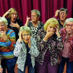 Musical 'Vergeten!' in de Bining Koarnjum