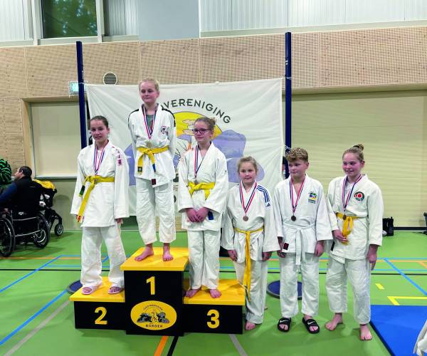 Judoka's succesvol in Borger