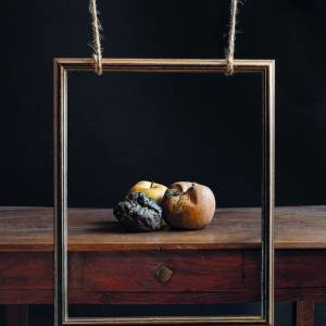 Foto van de maand december: Vergankelijkheid