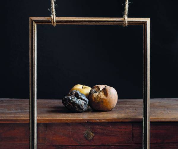 Foto van de maand december: Vergankelijkheid