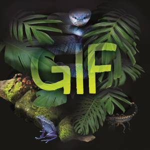 Tentoonstelling GIF in Natuurmuseum Fryslân