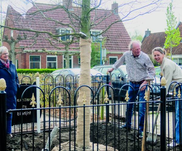 Herdenkingsboom in Marrum opnieuw aangeplant