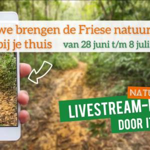 Op pad met It Fryske Gea via livestream-excursies in de natuur