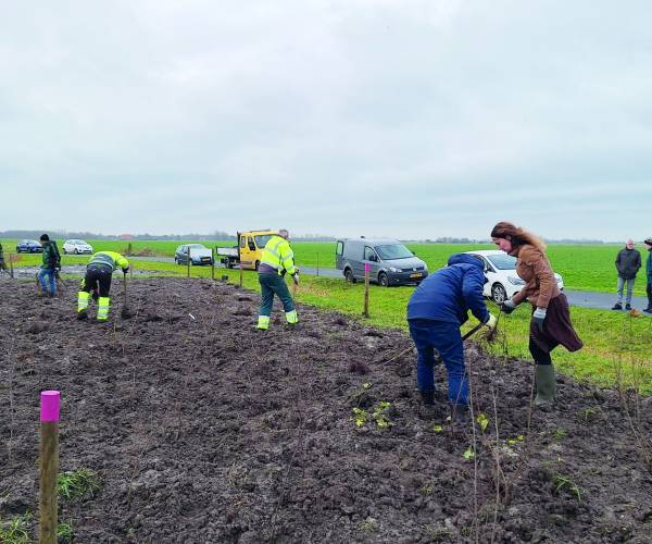 Alle hulp voor een optimale insectenstand langs de Wurgedyk
