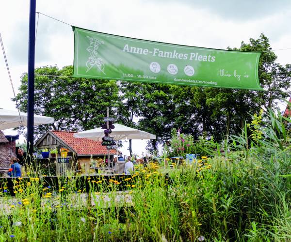 Alles over moestuinieren op Anne-Famkes Pleats