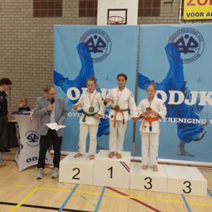 Mooie judo resultaten in Emmen