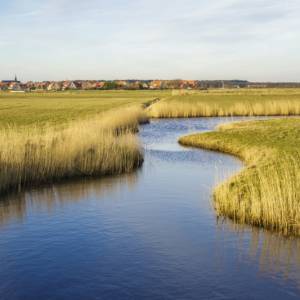 Samen aan de slag voor een klimaatbestendig Fryslân