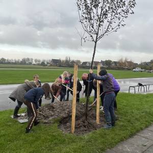 Wethouders en leerlingen planten bomen in Ferwert en Damwâld