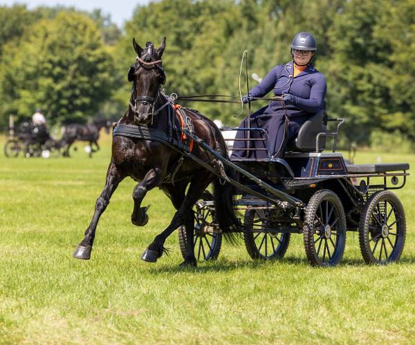Annemart Ferwerda Noordelijk kampioen in de mensport