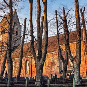 Sint Vituskerk - Stiens - 12-12-2022