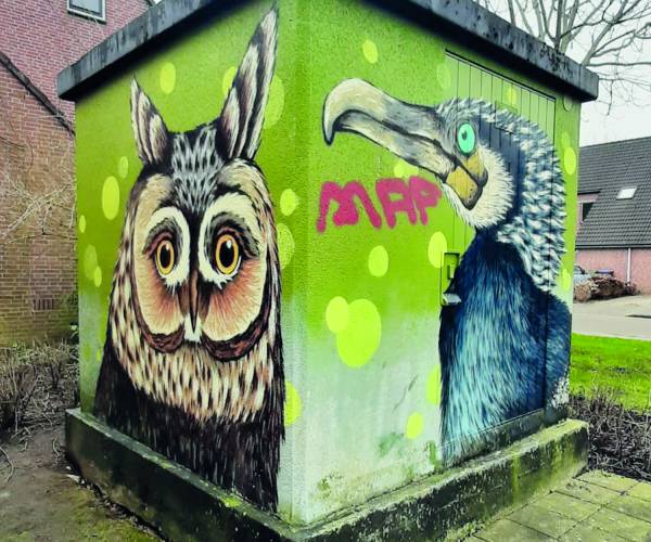 Vijftien jaar Leeuwarder-graffiti in Ferwert