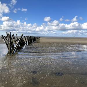 Wat is uw ultieme Waddenwoord?