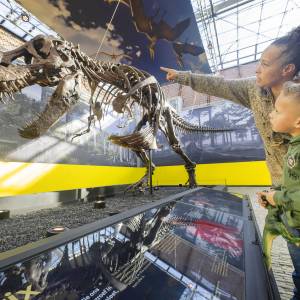 Kerstvakantie in Natuurmuseum Fryslân