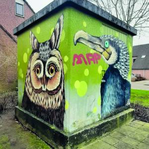 Vijftien jaar Leeuwarder-graffiti in Ferwert