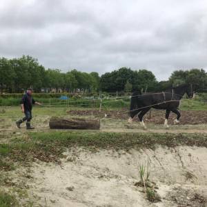 Zitplekken in Voedselbos Stiens met paardenkracht