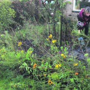 Stichting BiodiverStiens duikt de tuin in bij… Henriëtte