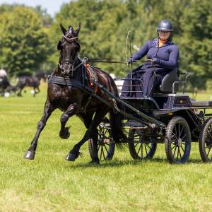 Annemart Ferwerda Noordelijk kampioen in de mensport