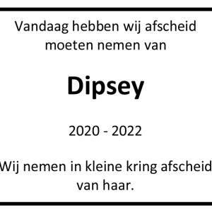Column: Dipsey