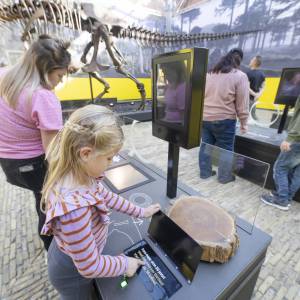Gratis dag in Natuurmuseum Fryslân groot succes