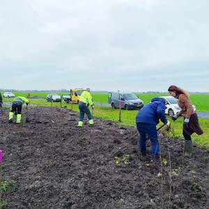 Alle hulp voor een optimale insectenstand langs de Wurgedyk