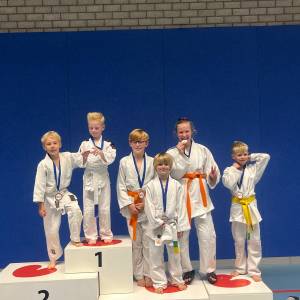 Friese junior masters judo succesvol