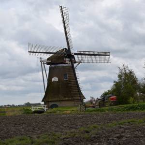 Molen de Phenix heeft roeden terug