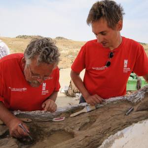 Lezing Friese paleontoloog Anne Schulp in Natuurmuseum Fryslân