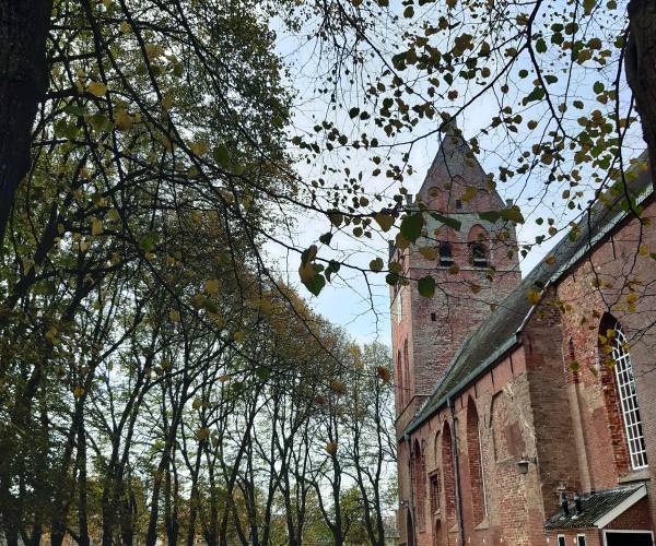 Onderhoud bomenrij Sint Vituskerk in Stiens van start