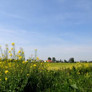 Fryslân presenteert voortgangsrapportage stikstof